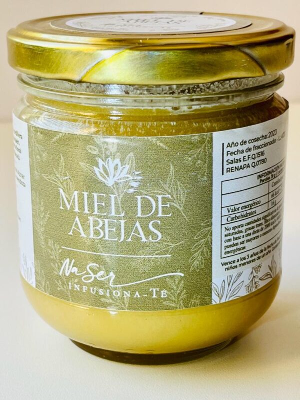 Miel de abejas frasco 450g - NaSer
