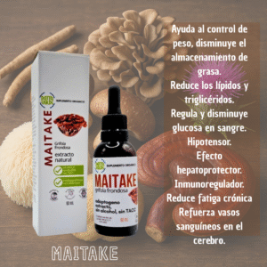 Maitake 60g - Datta Verde