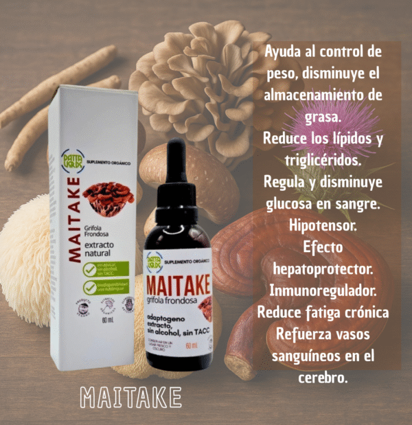 Maitake 60g - Datta Verde