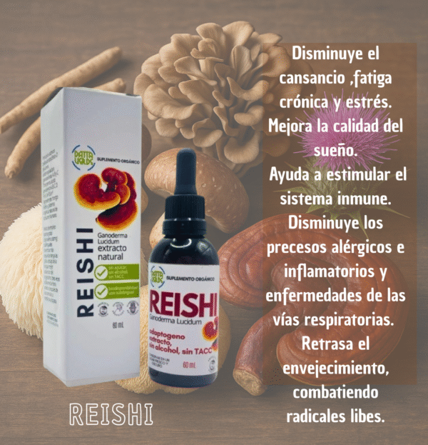 Reishi 60g - Datta Verde