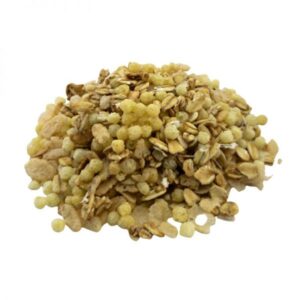 Granola sin pasas x 100g