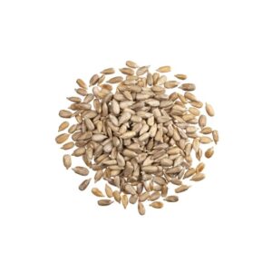 Semillas de girasol peladas x 100g