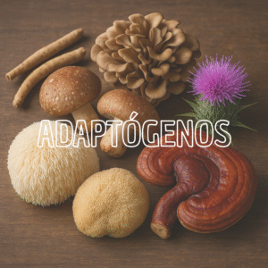 Adaptógenos