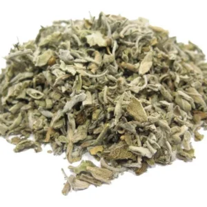 Salvia x 100g